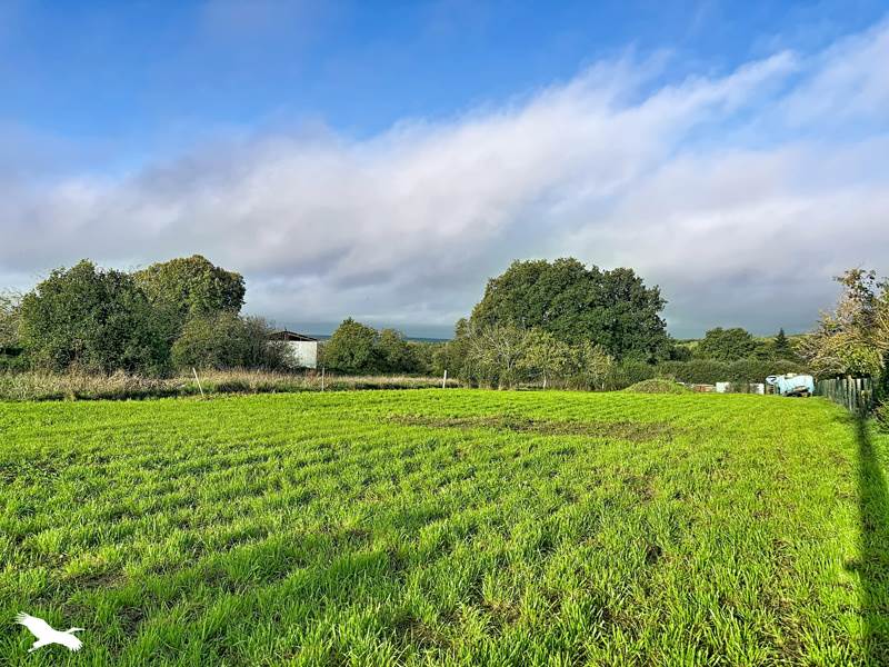 Vente Terrain Les Pins - -1510 m² - (16260)