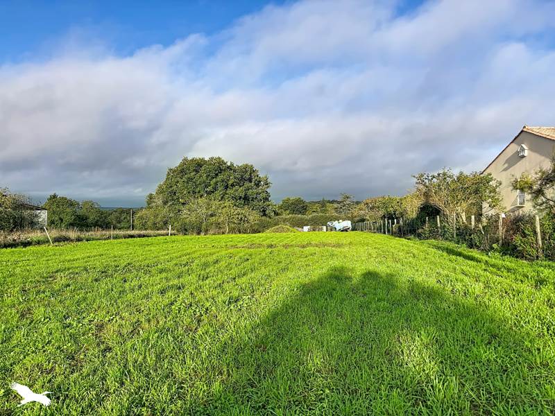 Vente Terrain Les Pins - -1510 m² - (16260)