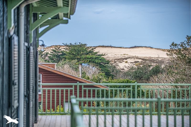Vente Appartement LEGE CAP FERRET - 4 pièces -95,6 m² - (33970)