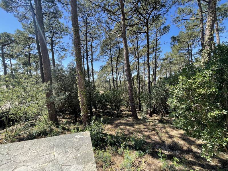 Vente Maison LEGE CAP FERRET - 6 pièces -121 m² - (33970)