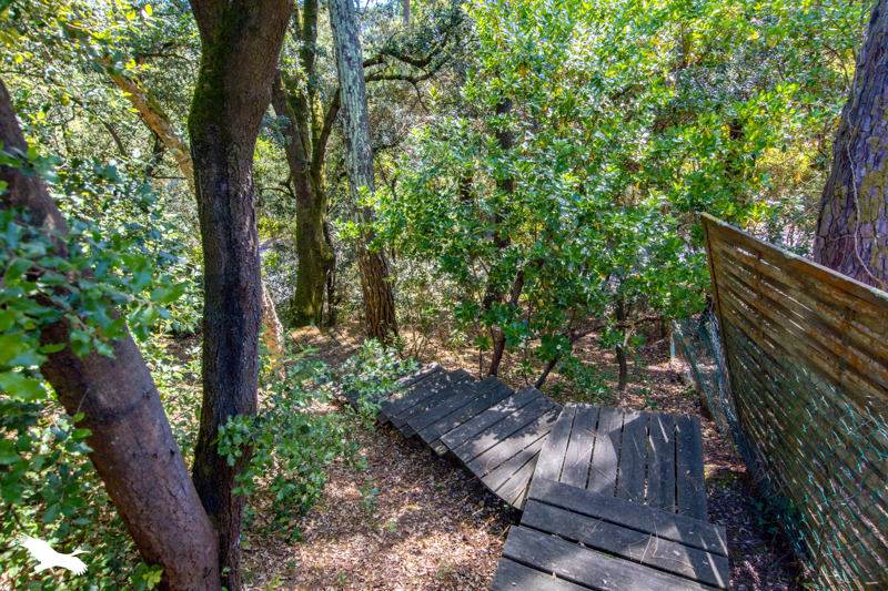 Vente Maison LEGE CAP FERRET - 4 pièces -62 m² - (33950)