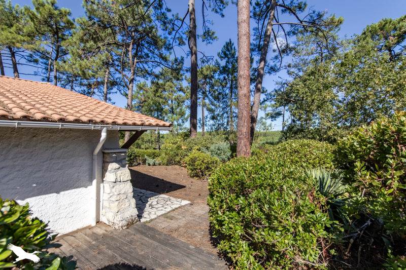Vente Maison LEGE CAP FERRET - 5 pièces -105 m² - (33970)