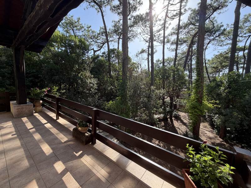 Vente Maison Lège-Cap-Ferret - 6 pièces -134 m² - (33970)