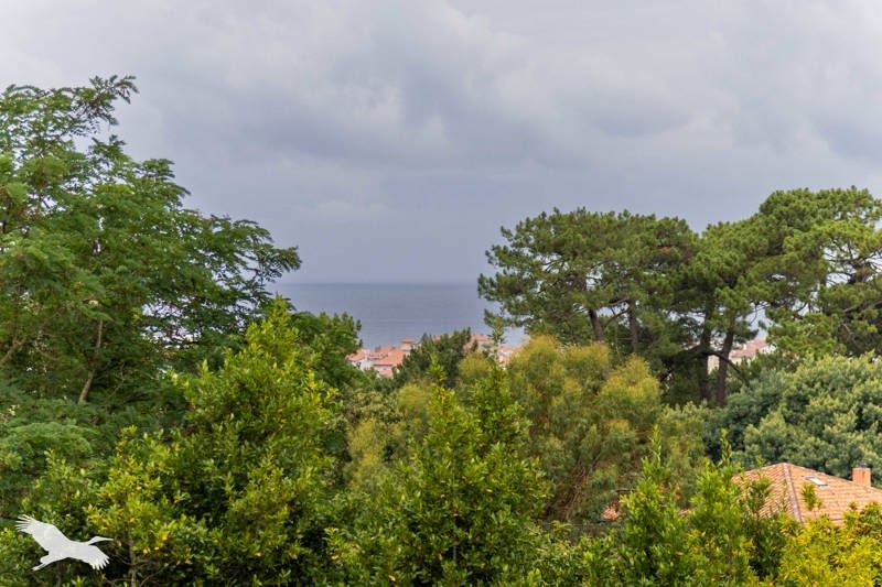 Vente Appartement BIARRITZ - 3 pièces -79 m² - (64200)