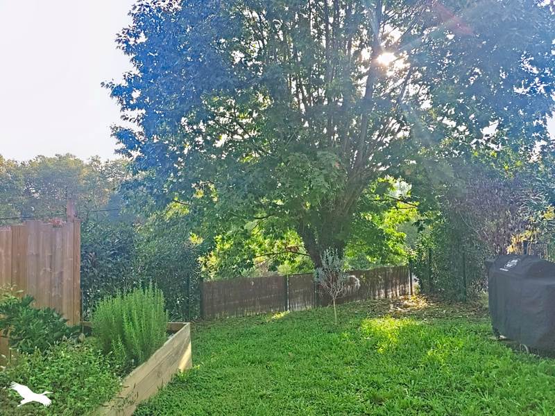 Vente Appartement Arbonne - 2 pièces -46 m² - (64210)