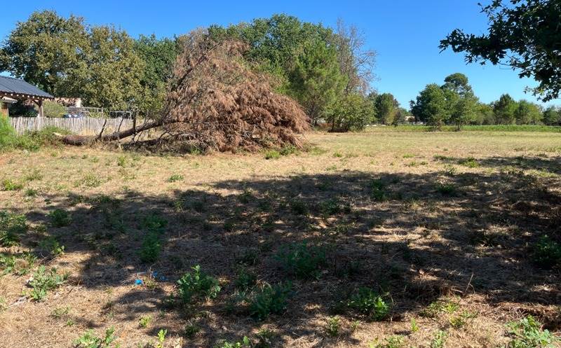 Vente Terrain HOURTIN - -502 m² - (33990)