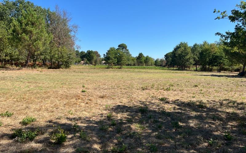 Vente Terrain HOURTIN - -509 m² - (33990)