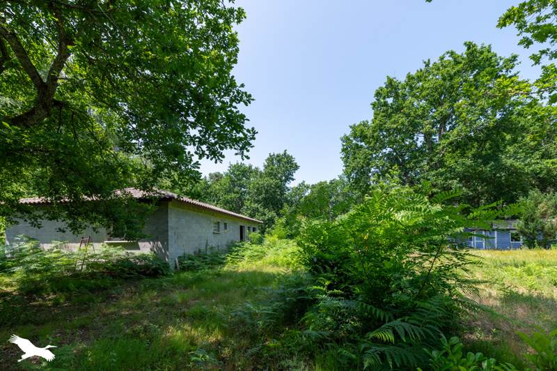 Vente Maison NAUJAC SUR MER - 2 pièces -140 m² - (33990)