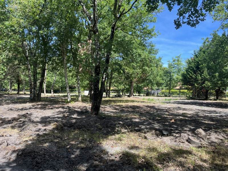 Vente Terrain à bâtir HOURTIN - -565 m² - (33990)