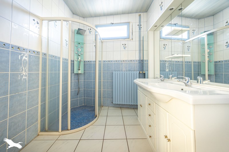 Vente Maison CELLES SUR BELLE - 7 pièces -283 m² - (79370)