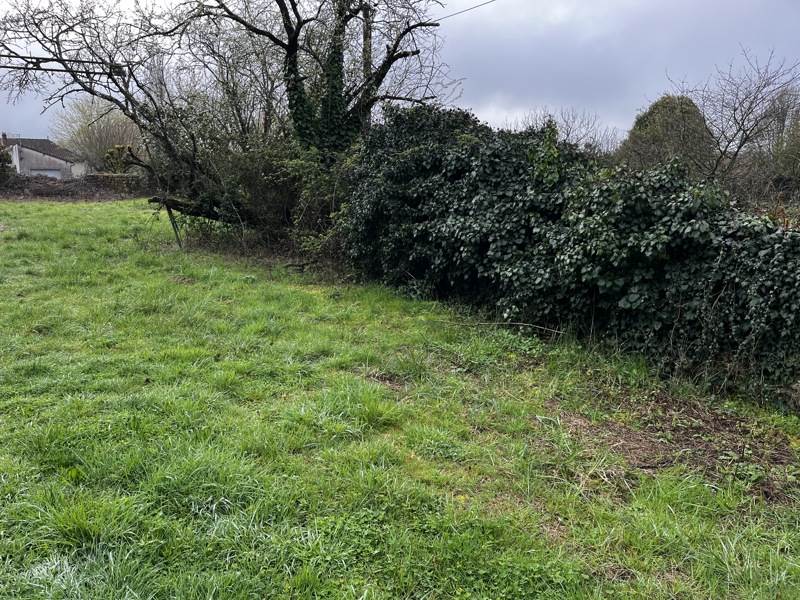 Vente Terrain MELLE - -1260 m² - (79500)