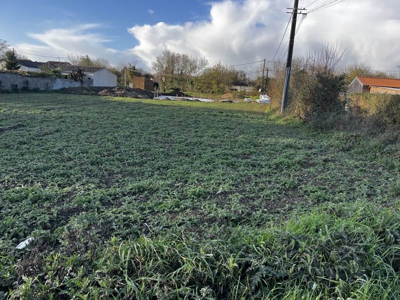 Vente Terrain BRULAIN - -986 m² - (79230)