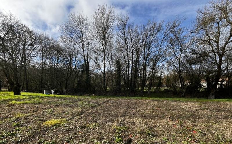Vente Terrain BRULAIN - -1055 m² - (79230)