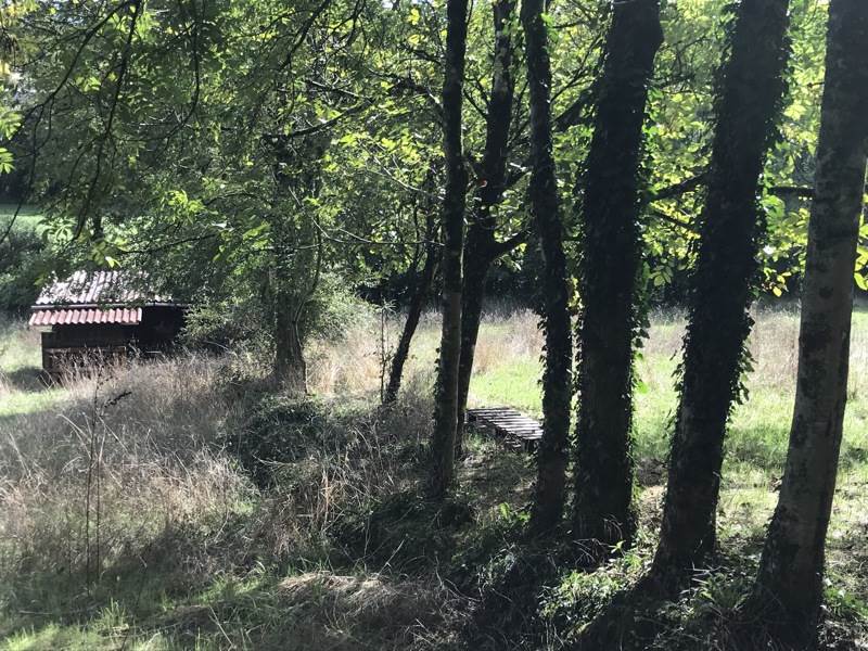 Vente Maison MELLE - 5 pièces -125 m² - (79500)