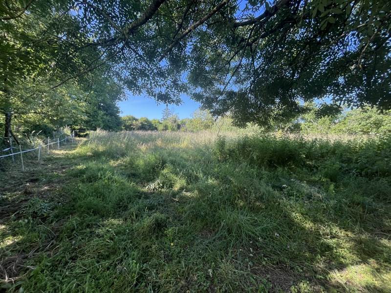 Vente Terrain AIGONDIGNE - -1858 m² - (79370)
