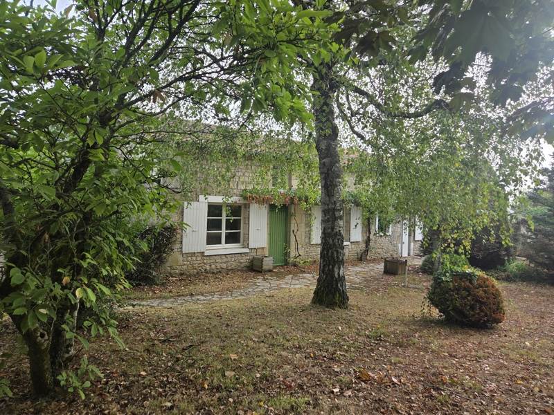 Vente Maison Alloinay - 4 pièces -139 m² - (79110)