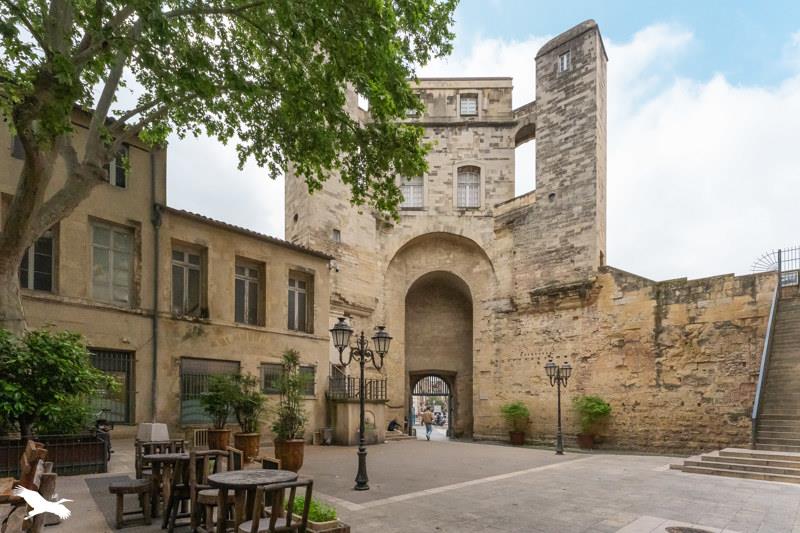 Vente Appartement MONTPELLIER - 3 pièces -48 m² - (34000)