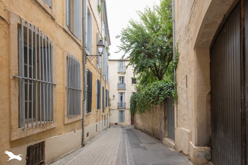 Vente Appartement MONTPELLIER - 4 pièces -121 m² - (34000)