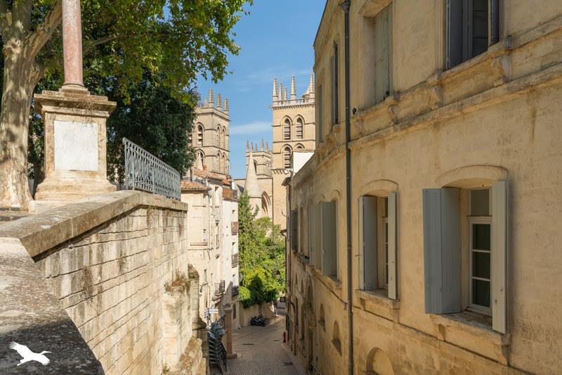 Vente Appartement Montpellier - 2 pièces -50 m² - (34000)