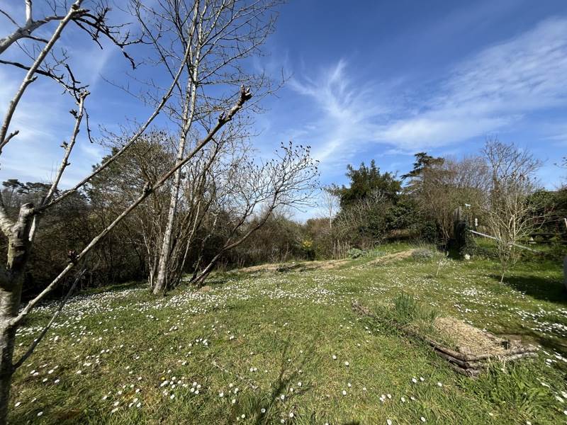 Vente Maison ST LOUBOUER - 7 pièces -178 m² - (40320)