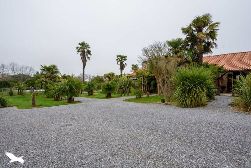 Vente Maison EUGENIE LES BAINS - 14 pièces -300 m² - (40320)