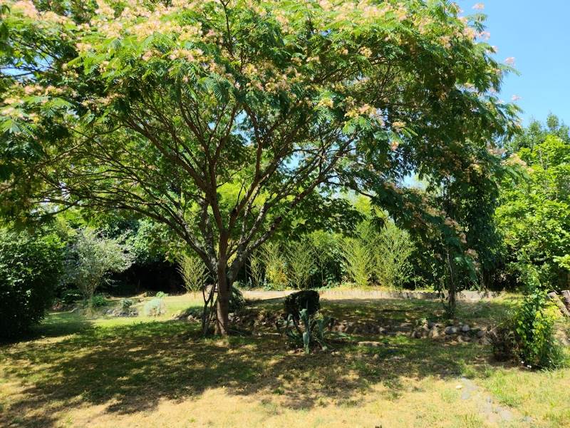 Vente Maison CAZERES SUR L ADOUR - 3 pièces -70 m² - (40270)