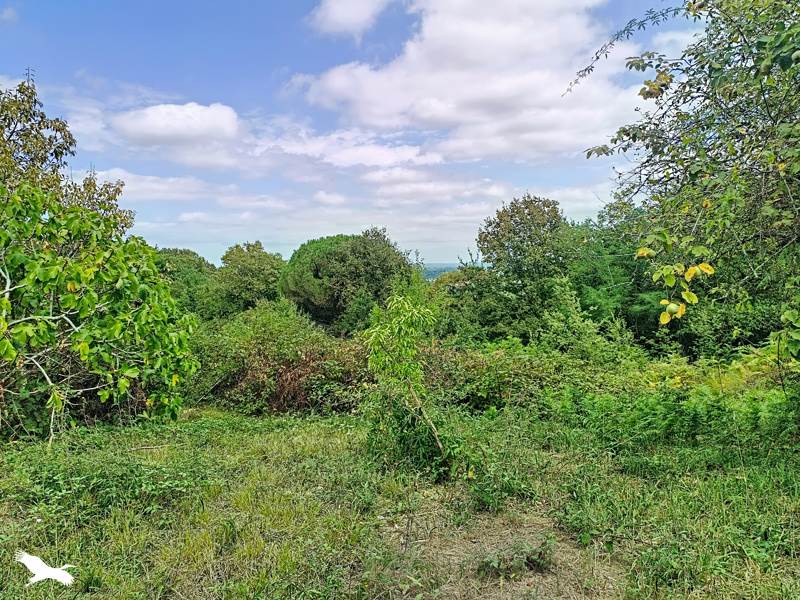Vente Maison LANNUX - 4 pièces -82 m² - (32400)