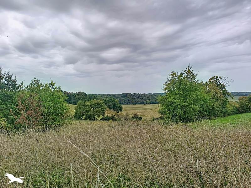 Vente Maison Castelnau-Tursan - 3 pièces -92 m² - (40320)