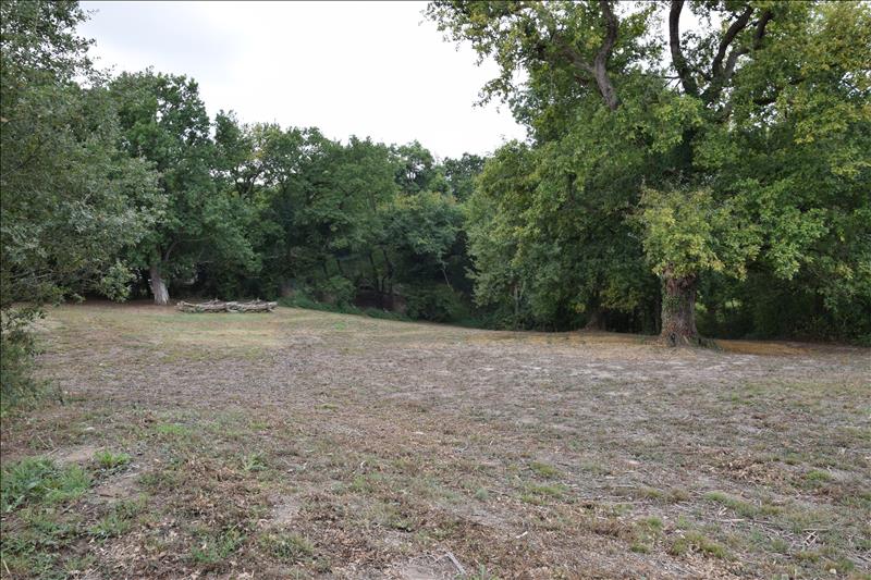 Vente Terrain PROJAN - -5050 m² - (32400)
