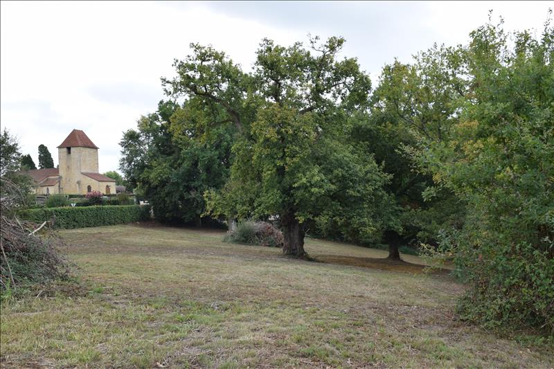 Vente Terrain PROJAN - -5050 m² - (32400)