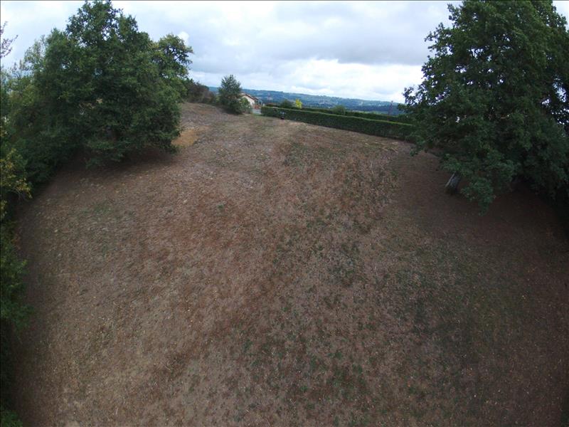 Vente Terrain PROJAN - -5050 m² - (32400)