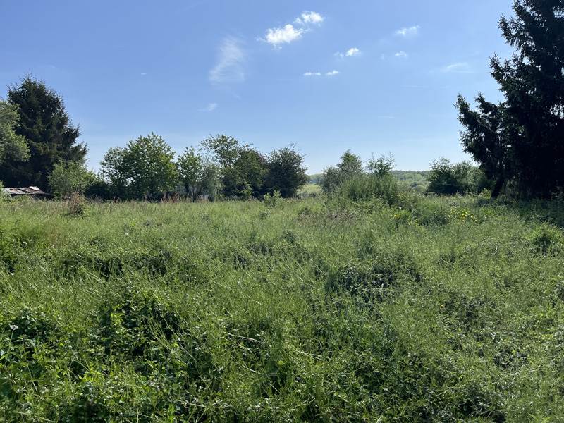 Vente Grange ECURAS - 1 pièce -132,6 m² - (16220)