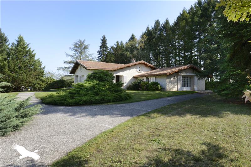 Vente Maison MONTBRON - 6 pièces -261 m² - (16220)