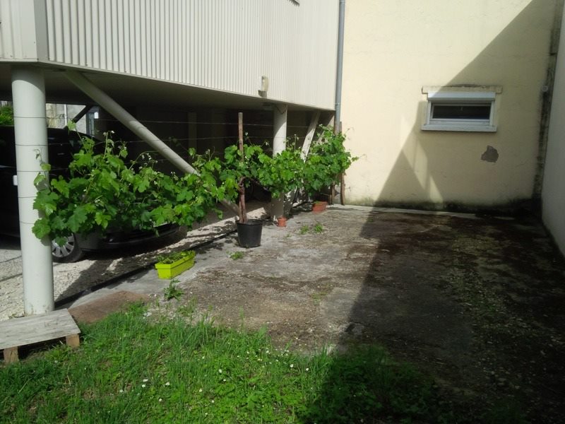 Vente Appartement BEGLES - 3 pièces -62 m² - (33130)