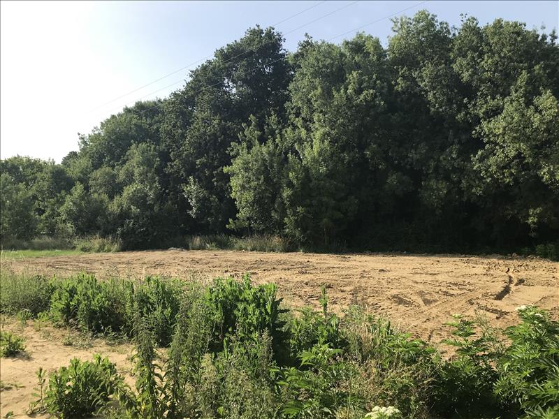 Vente Terrain Saint-Laurent-de-la-Prée - -1000 m² - (17450)