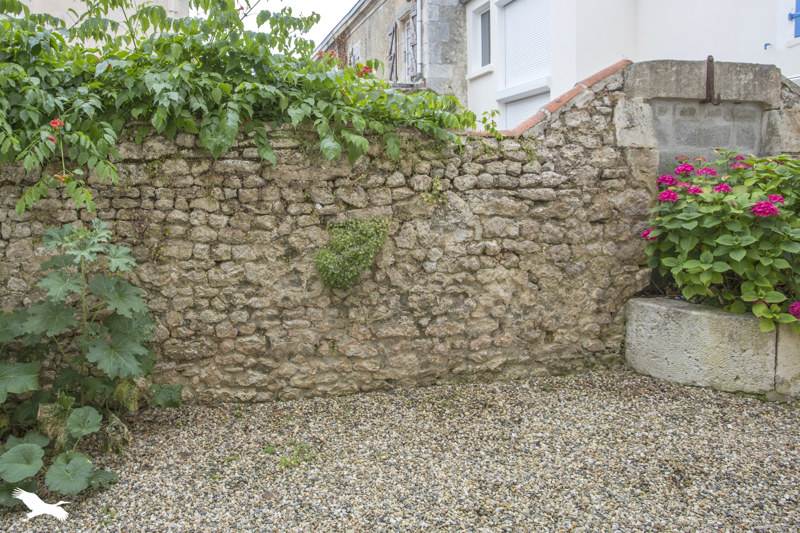 Vente Appartement FOURAS - 1 pièce -31,7 m² - (17450)