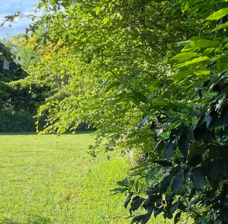 Vente Terrain Rosporden - -1000 m² - (29140)