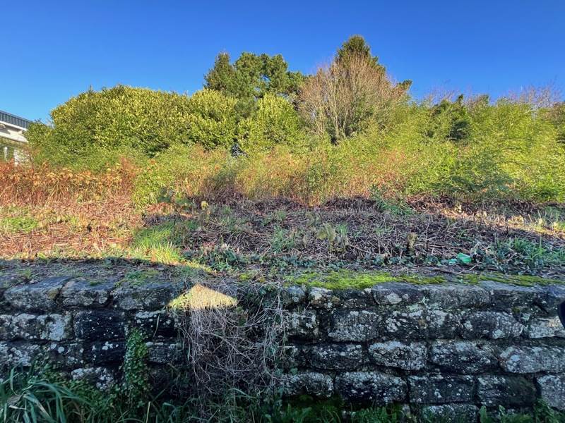 Vente Terrain SCAER - -2238 m² - (29390)