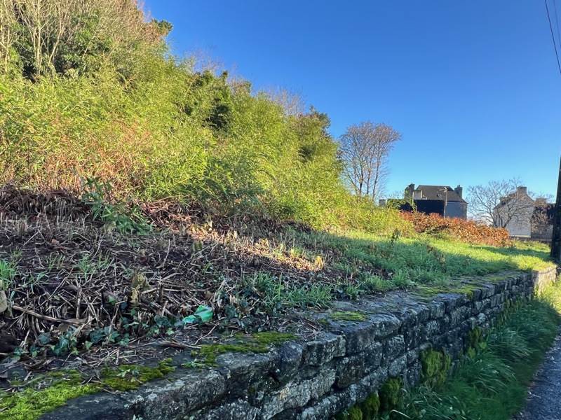 Vente Terrain SCAER - -2238 m² - (29390)