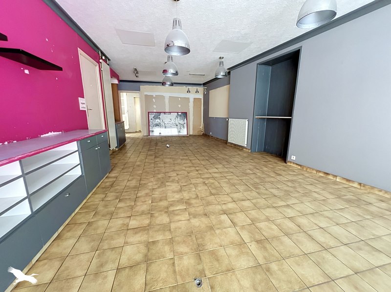 Vente Maison ROSPORDEN - 9 pièces -320 m² - (29140)