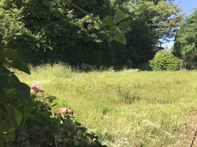 Vente Terrain Rosporden - -608 m² - (29140)
