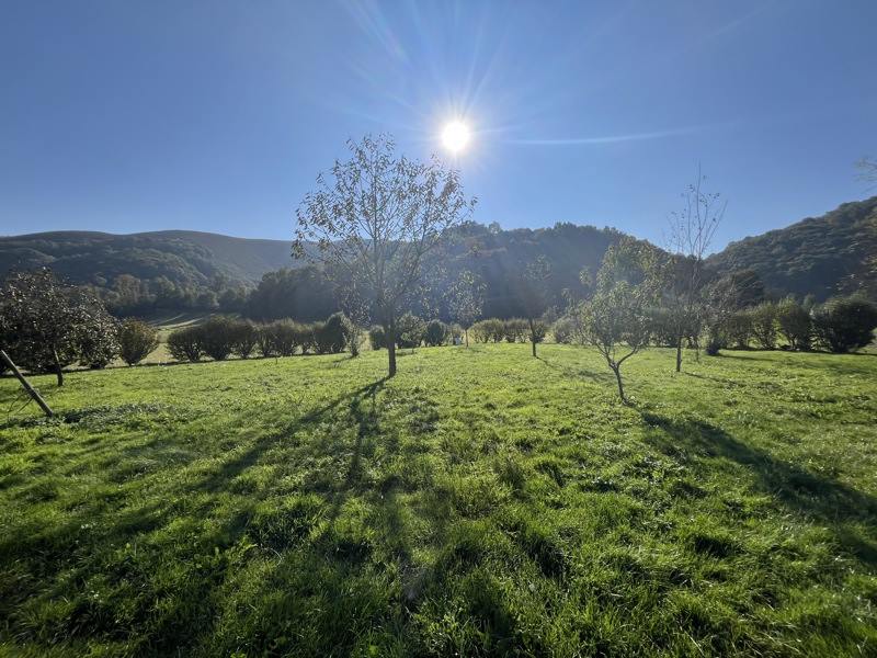 Vente Maison LES ANGLES - 3 pièces -131 m² - (65100)