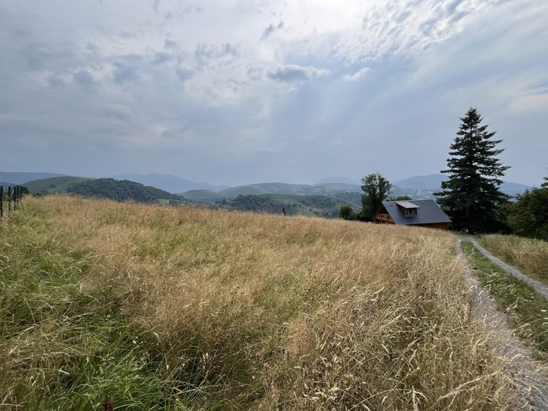 Vente Terrain Arrodets-ez-Angles - -1370 m² - (65100)