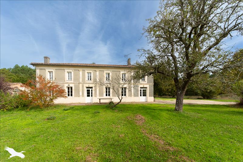 Vente Maison LARUSCADE - 10 pièces -325 m² - (33620)