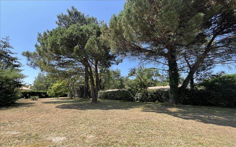 Vente Terrain LARUSCADE - -577 m² - (33620)