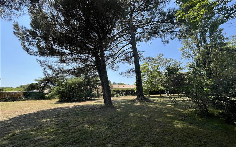 Vente Terrain LARUSCADE - -1154 m² - (33620)