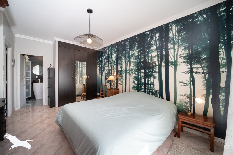 Vente Maison ST MARIENS - 6 pièces -211 m² - (33620)