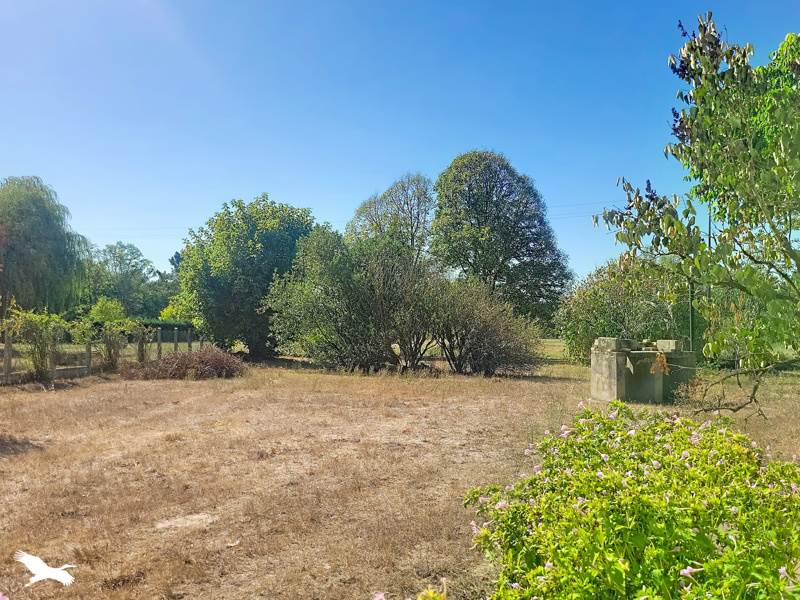 Vente Maison LARUSCADE - 5 pièces -130 m² - (33620)