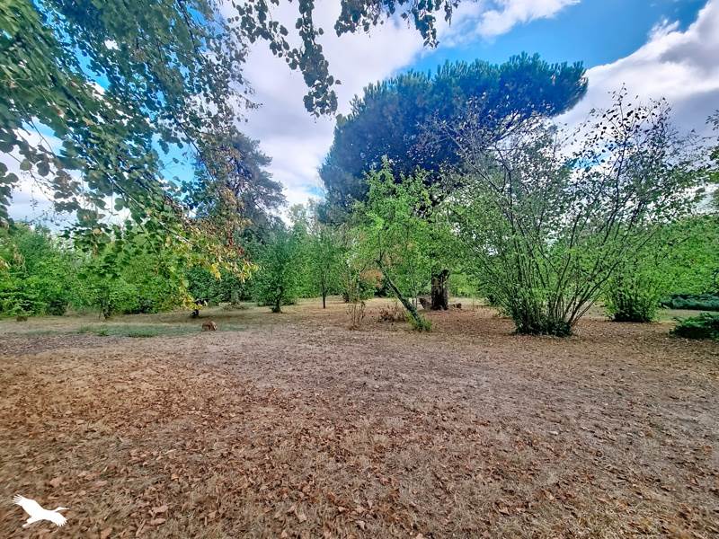 Vente Maison LARUSCADE - 4 pièces -164 m² - (33620)