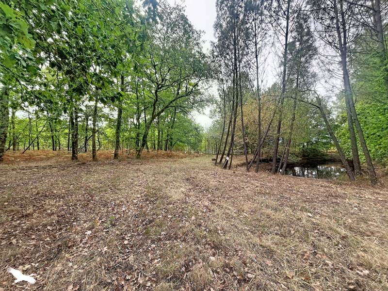 Vente Maison LARUSCADE - 5 pièces -233,7 m² - (33620)